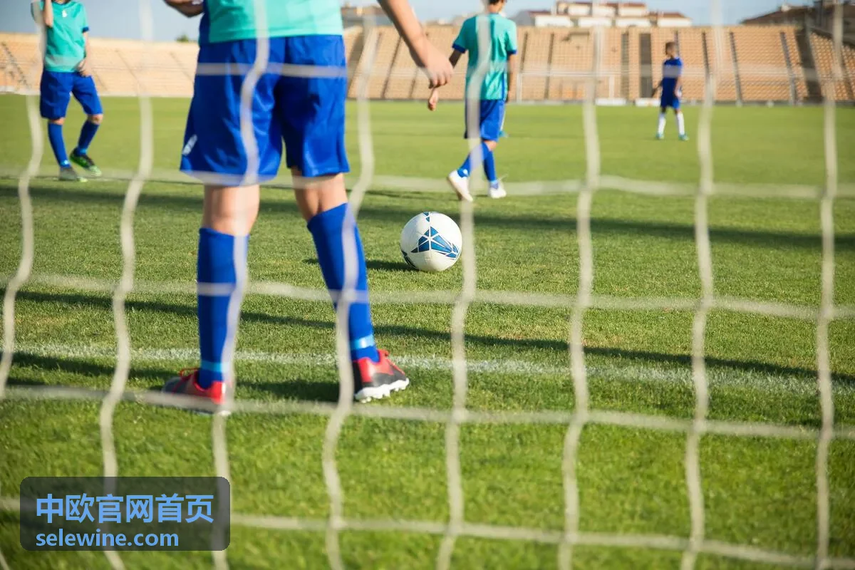 中欧官网首页最新信息：男篮世界杯赛程淘汰赛全解析：晋级路径与关键对阵看点
