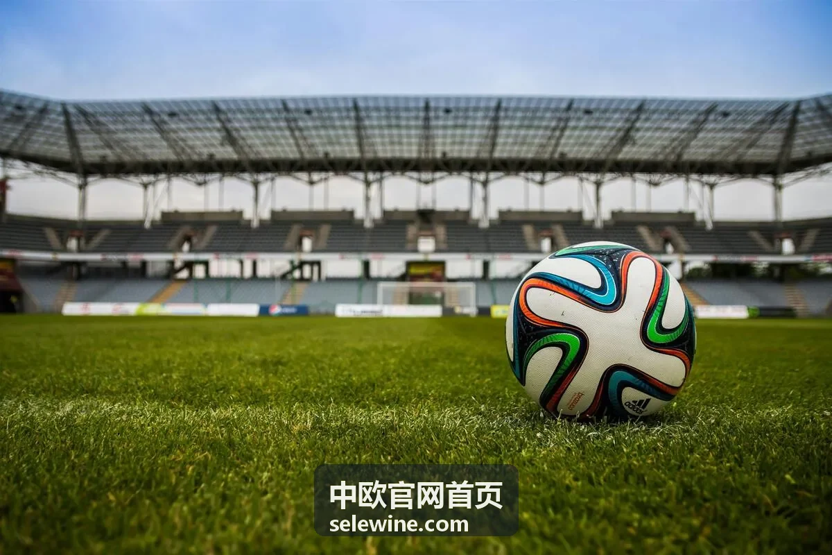 中欧官网首页最新信息：世界杯8强队伍规则是什么？从小组赛到四分之一决赛全解析